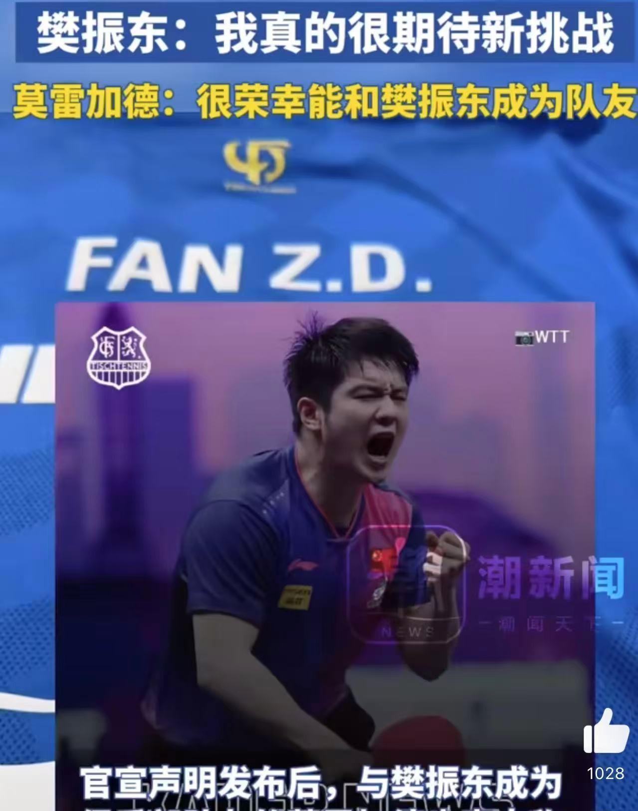 关于英国乒乓球队血洗德国乒乓球队，樊振东高光表现的信息