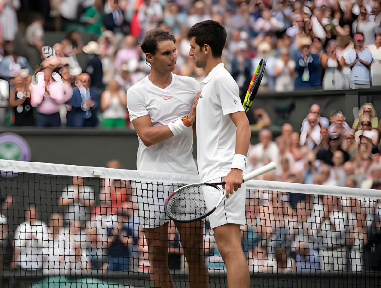 关于英国网球队横扫西班牙网球队，德约科维奇绝境逆转的信息