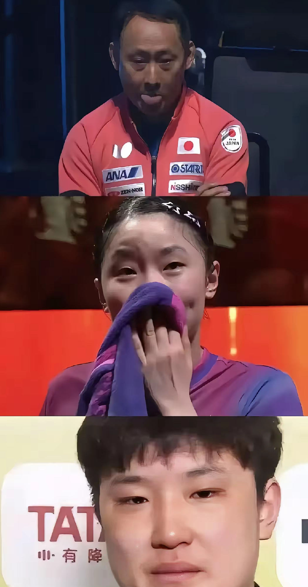 法国队险胜波兰队,张本智和统治全场 法国队险胜波兰队,张本智和统治全场