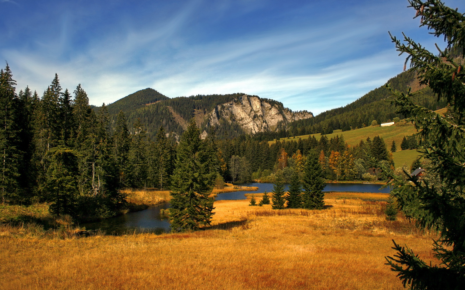 东方旋风,当樊振东在波德鏖战中点燃赛场