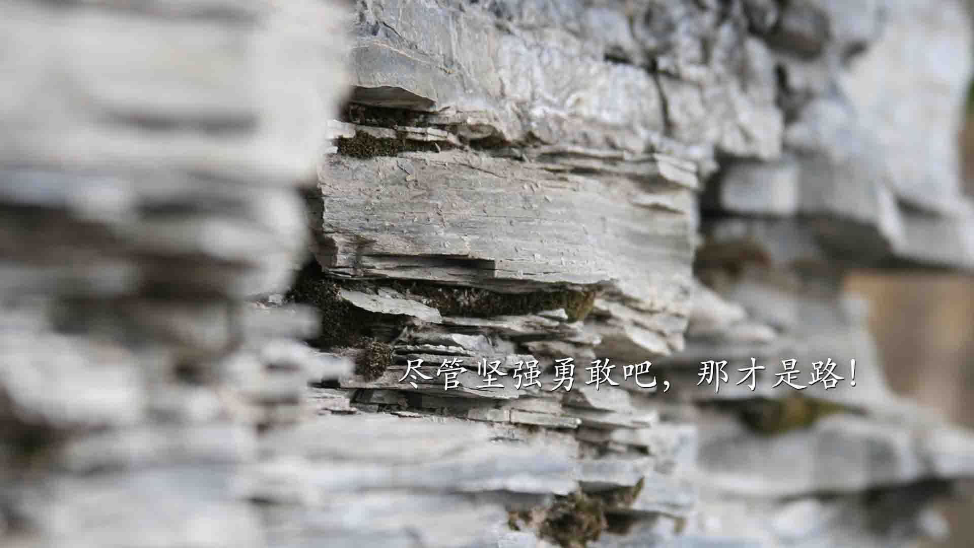 跨界称王，从温网到联合杯，辛纳如何成为两大顶级赛事的唯一变量