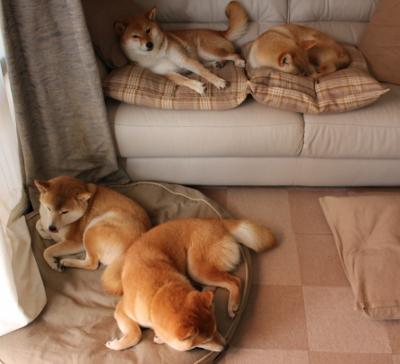 炼狱之火淬真金,德国女乒的马琳,如何在绝境中完成对自我的终极逆转