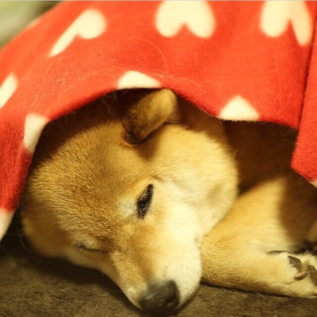 于无声处听惊雷