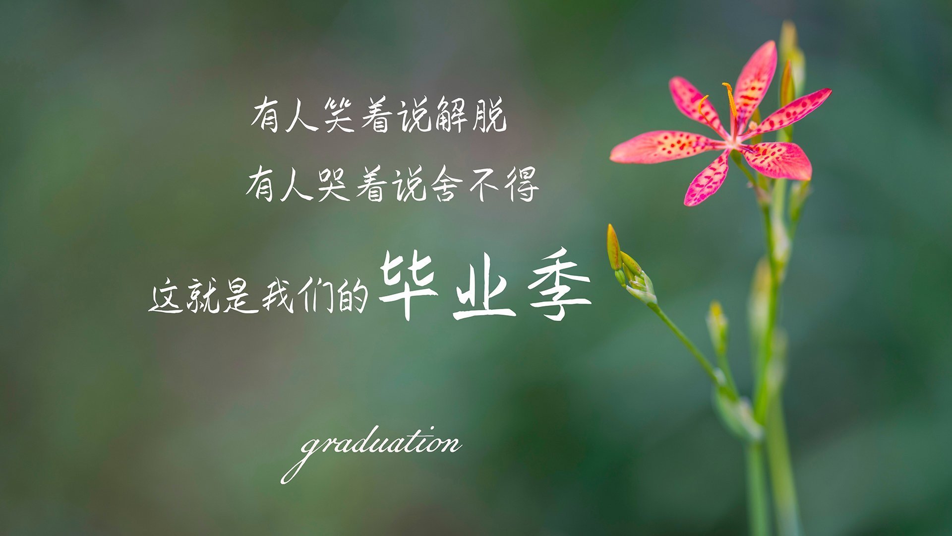 冰川与桑巴,于无声处听惊雷