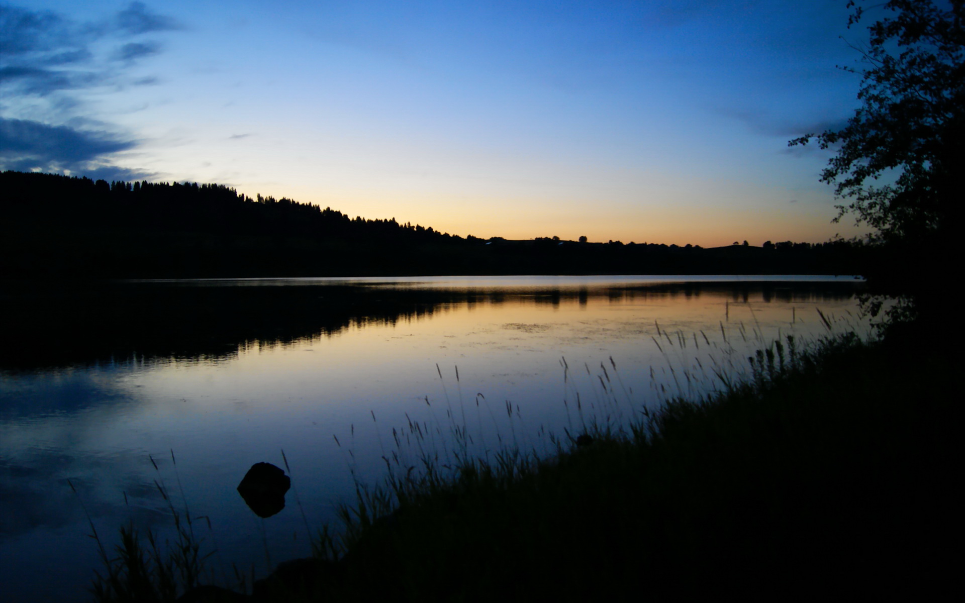 巨人的阴影下,新生力量与孤胆英雄的破局之战