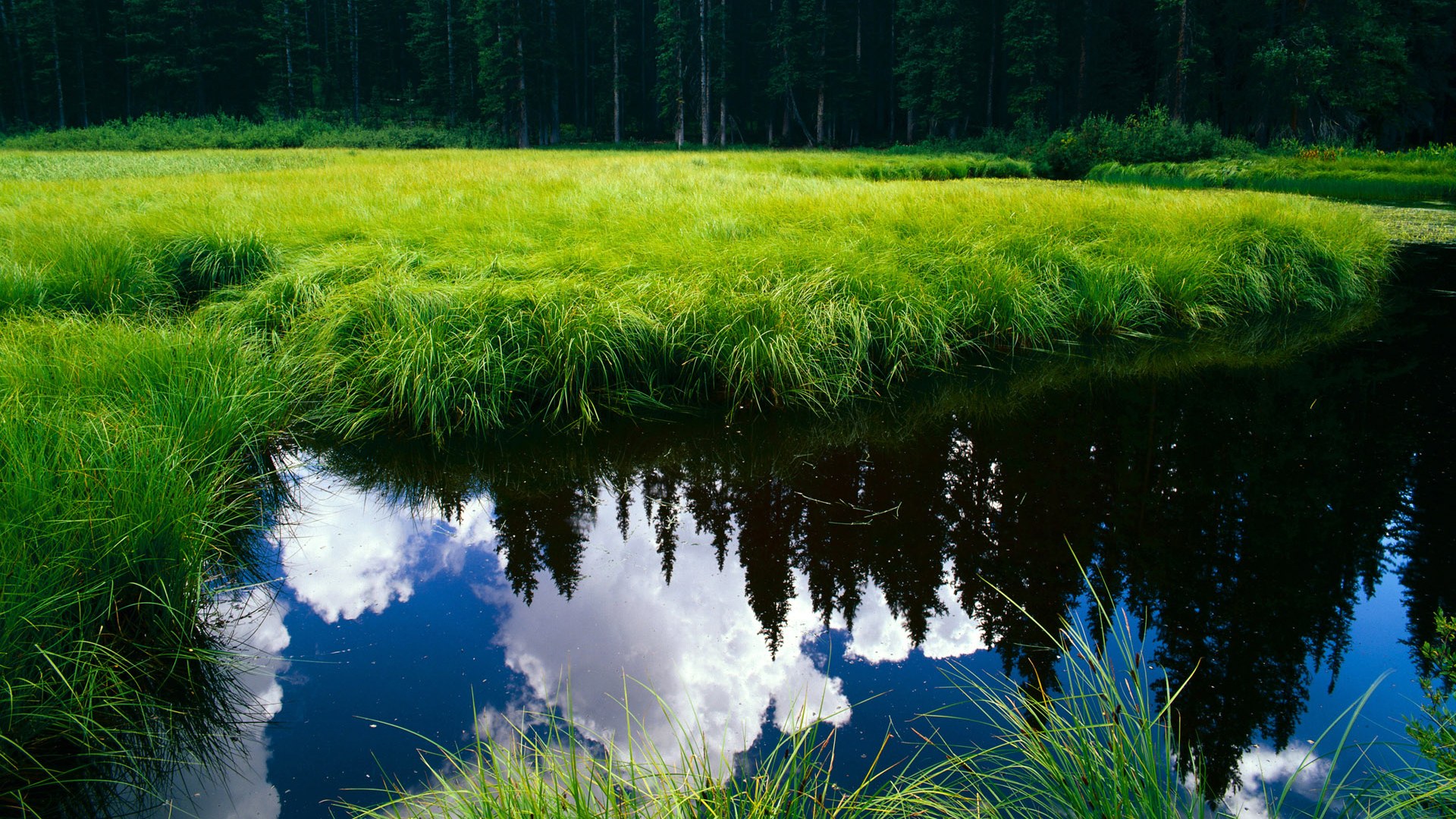 法拉利历史首次逆转威廉姆斯,周冠宇奇迹带队取胜