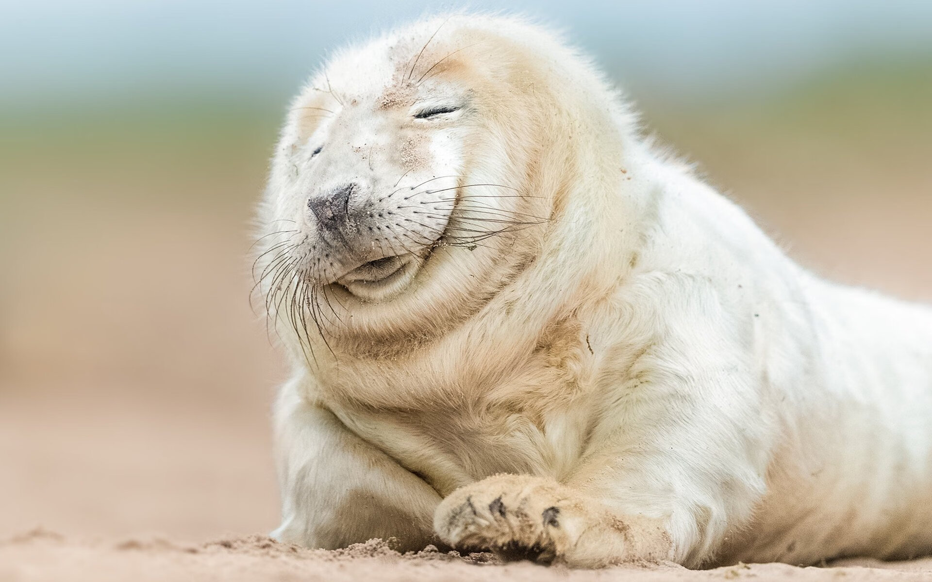 跨界对决中的王者,易建联在马刺与浙江的错位时空里闪耀