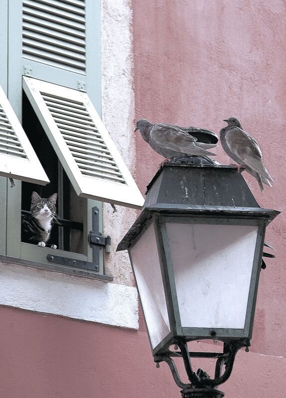 唯一神祇,无二王朝