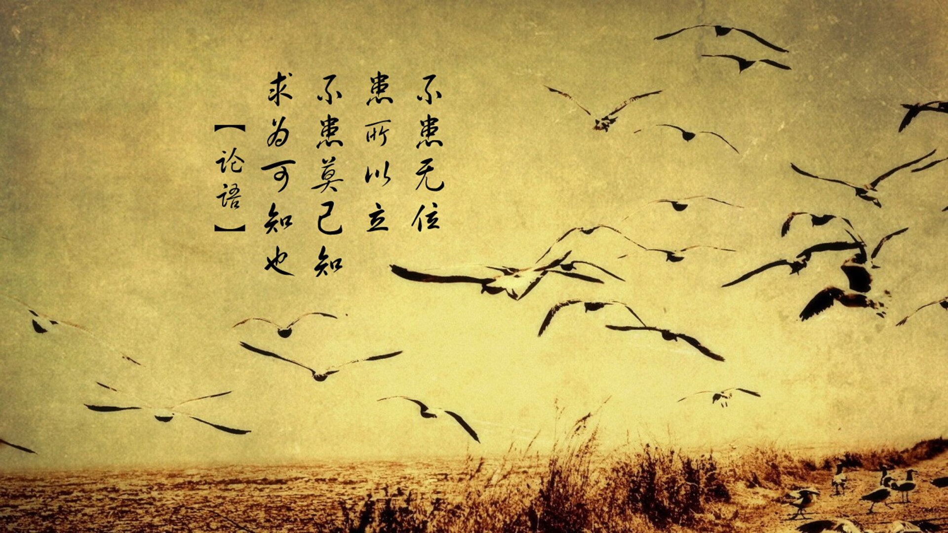 当足球明星照亮F1之夜，日本后卫富安健洋如何意外成为巴林焦点