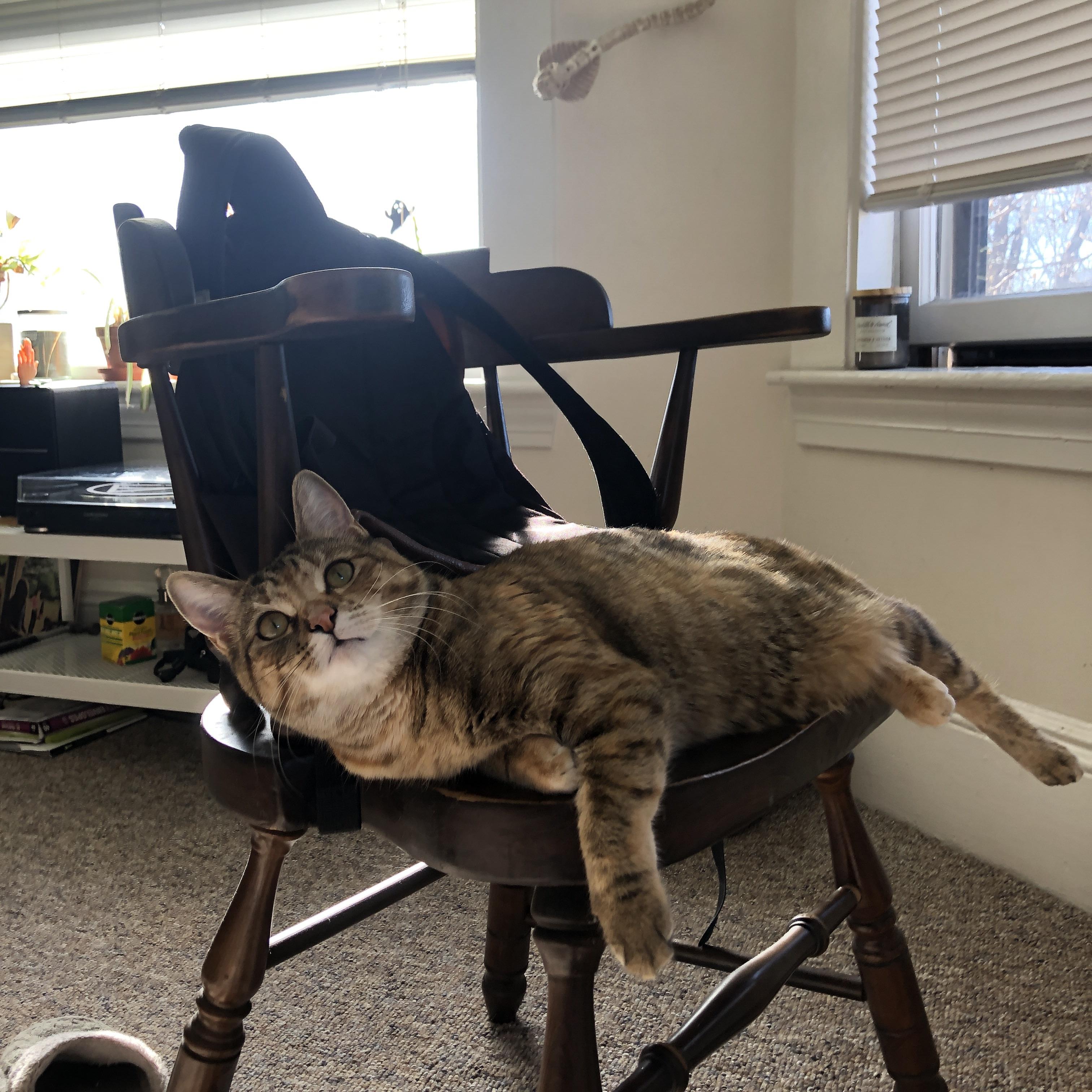 暗网与燃火，当精密齿轮撞上不灭熔炉