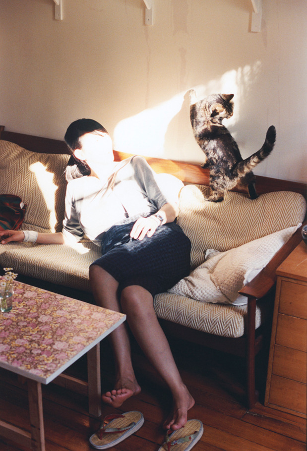 绿茵场未燃战火 篮球馆先掀狂澜—从美加墨世界杯展望到广厦掀翻山西的跨界对撞