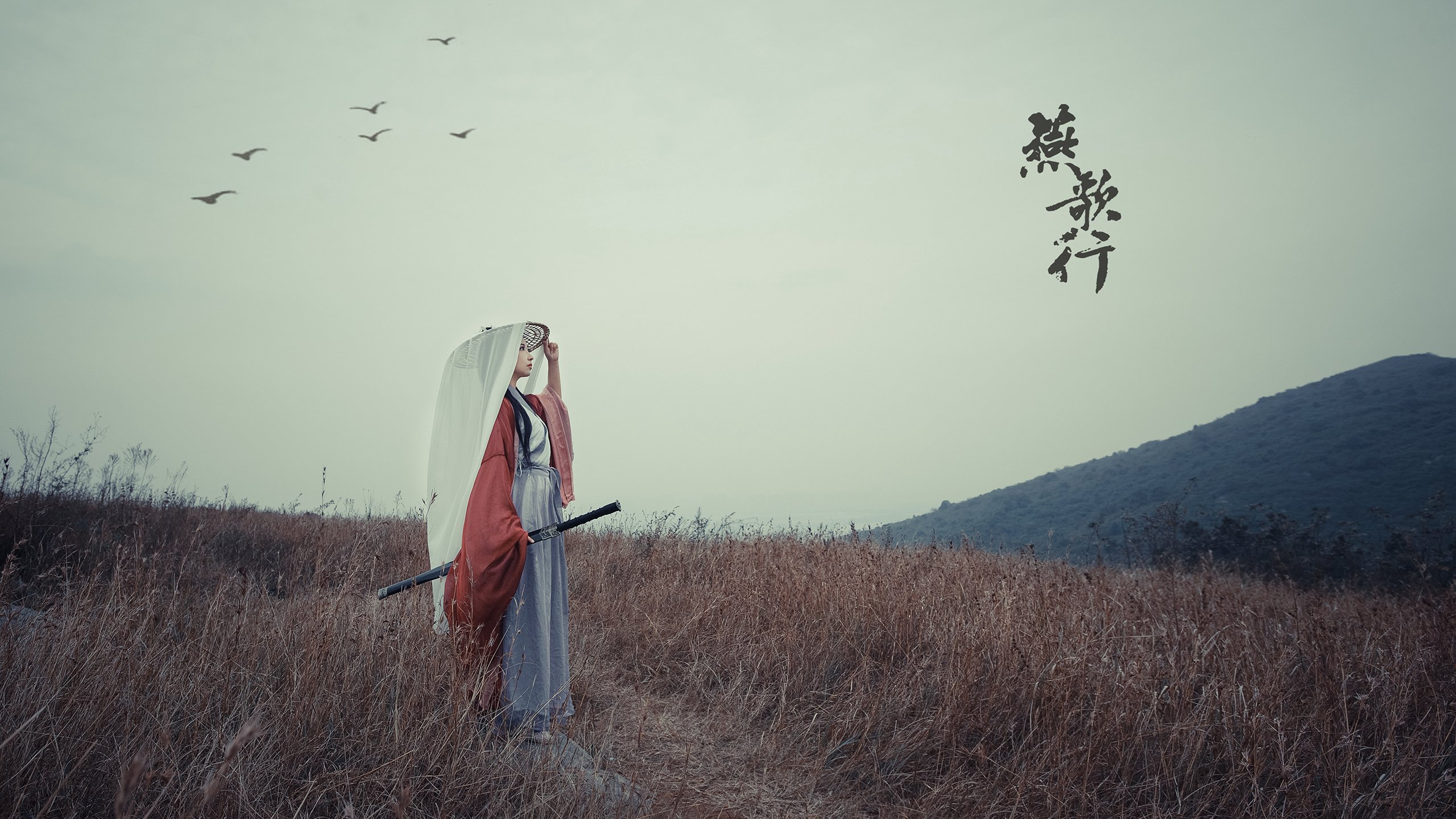 北欧雄狮的叹息，马丁内利如何让马里足球在欧洲大陆惊艳四座