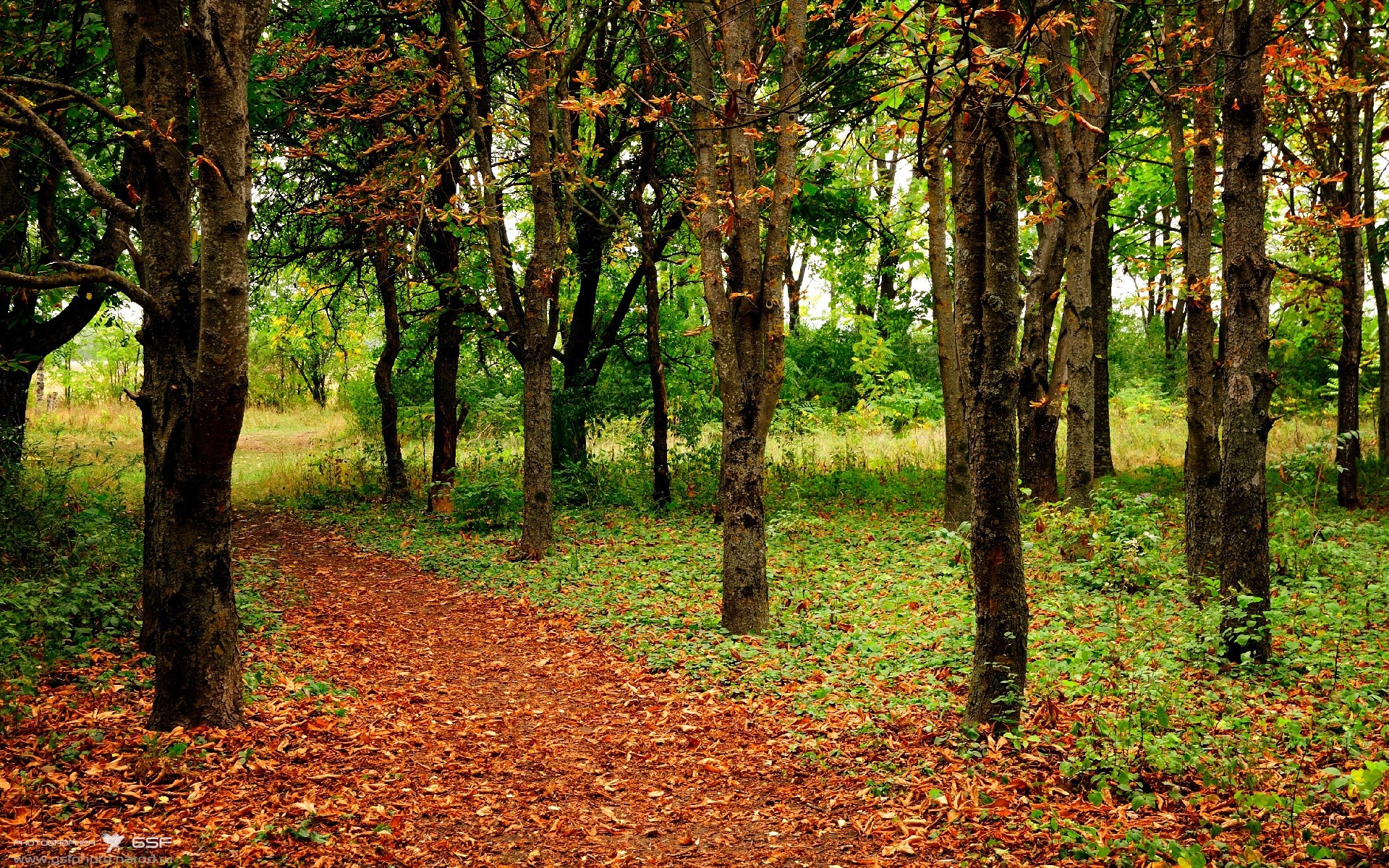 哈利伯顿审判日，火箭全面压制，广厦主场遭遇溃败