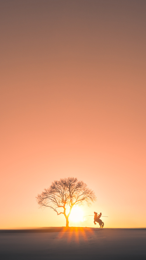 锡安启示录，骑士时代的最终敕令