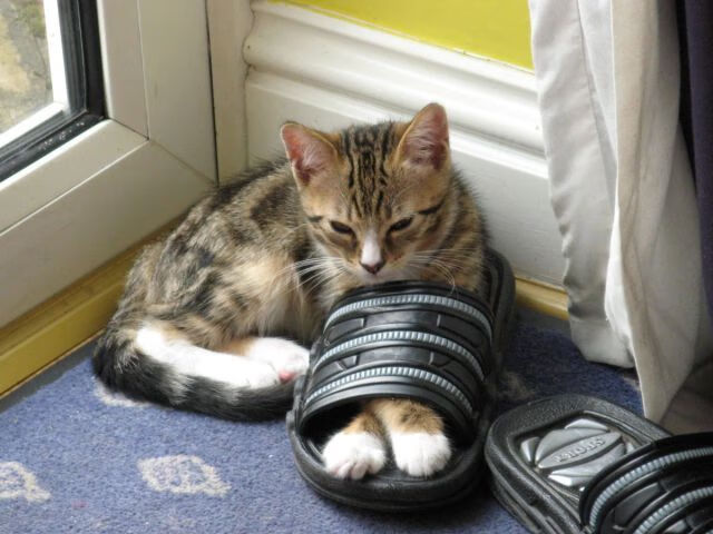 踩着刀锋的华尔兹，杜兰特如何用节奏改写生死