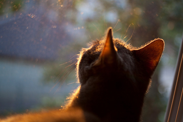 双城记，浙江的坚韧与布克的锋芒，共谱竞技体育的决胜瞬间