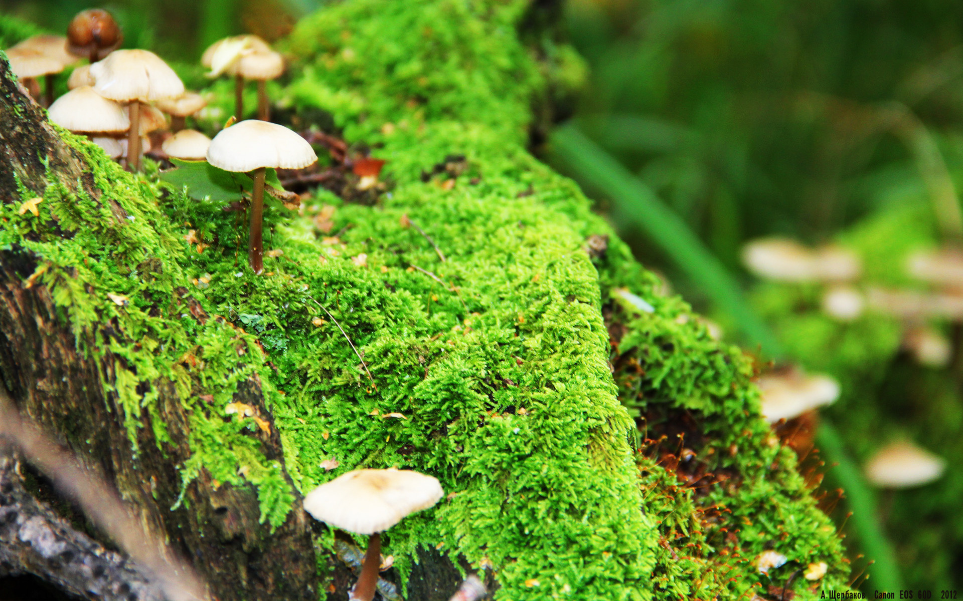 同夜双星，哈登末节接管与老鹰绝杀—篮球的两种英雄主义