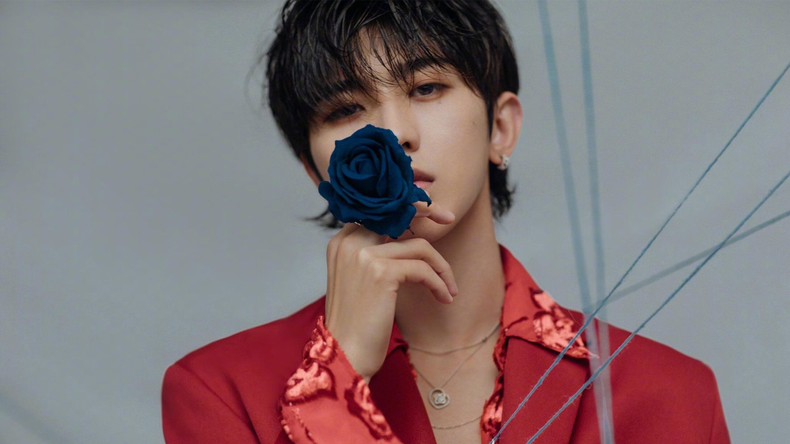 囚笼与手术刀,灰熊冰封魔术,哈利伯顿一刃封喉