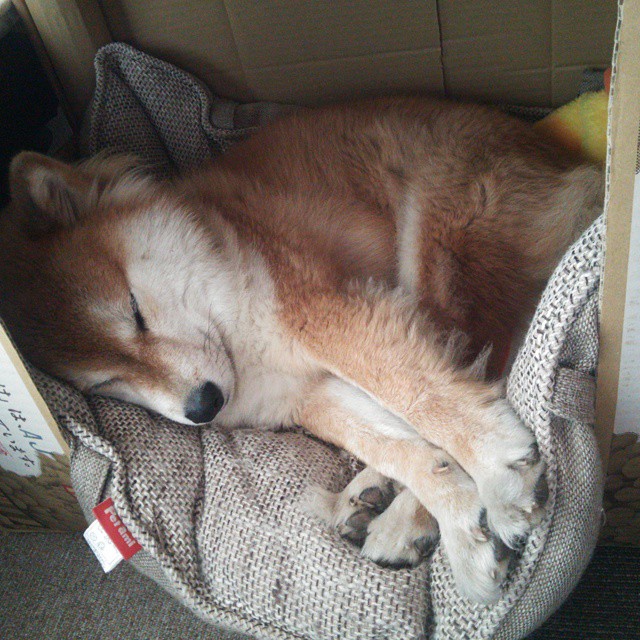 维尼修斯独舞伯纳乌,韩国铁血逆转突尼斯