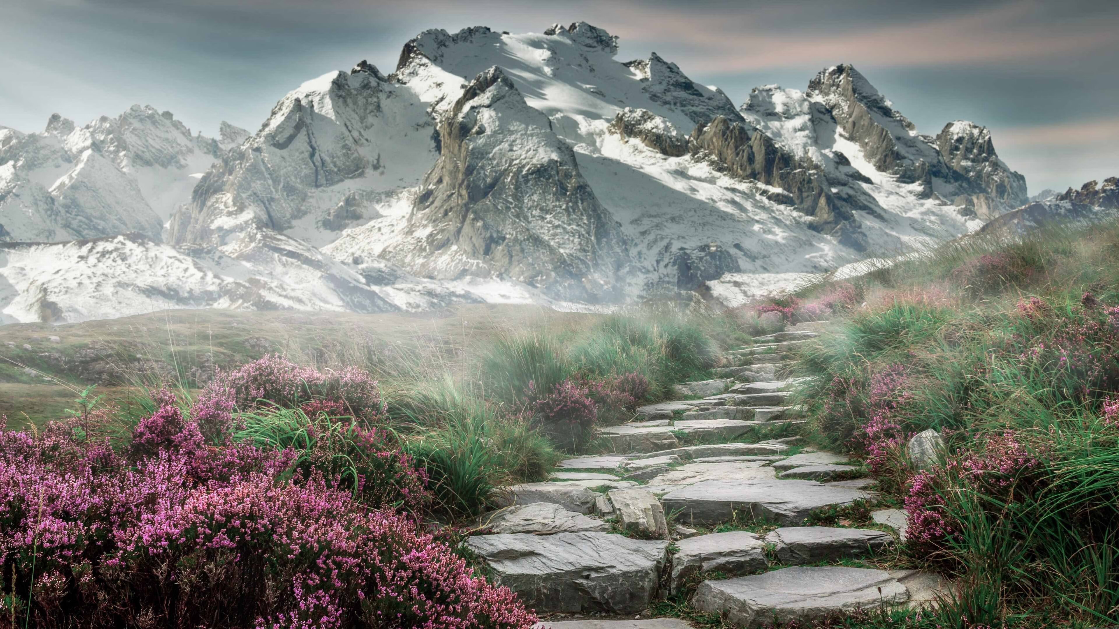 逆袭时刻!辽宁末节风暴席卷太阳,贝恩一锤定音化身关键先生