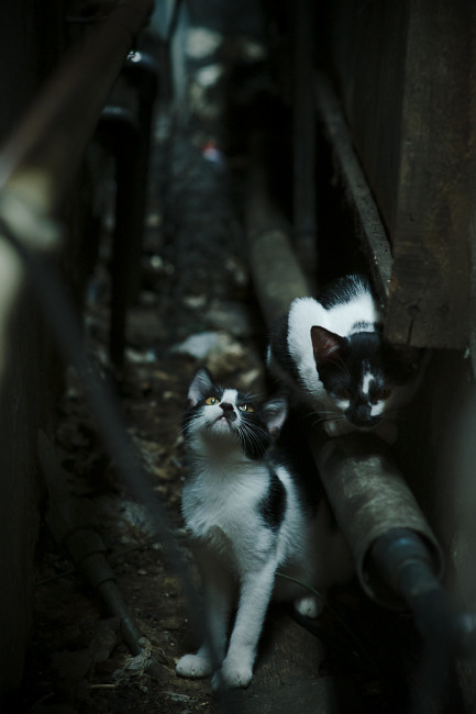 鏖战巴黎之夜,巴雷拉如何化身关键先生,定义红魔精神