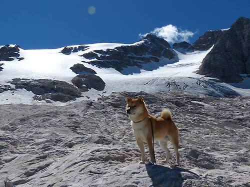 跨界之眼，霍勒迪式攻防转换如何点燃英超争冠之夜