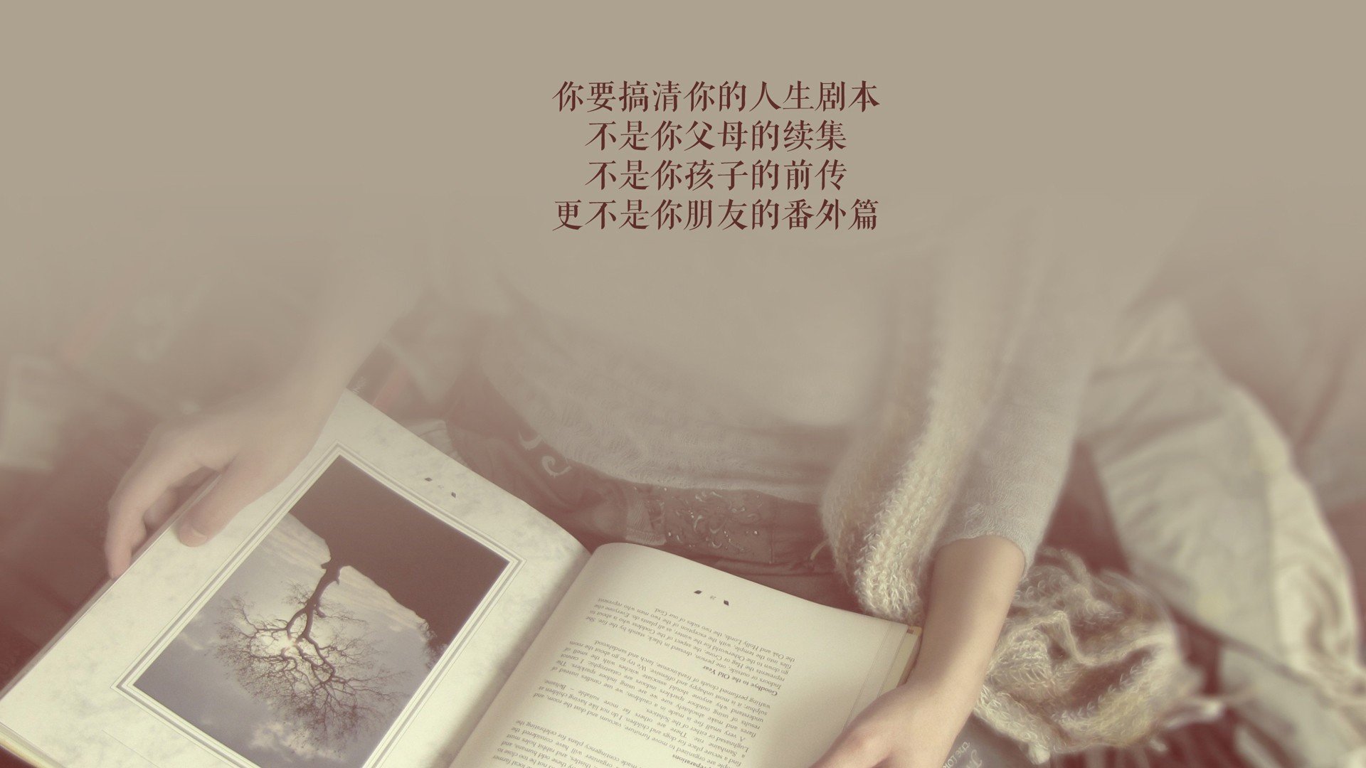 德意志战车碾压红魔，2026世界杯F组之战，控球为王与齐耶赫的致命一剑