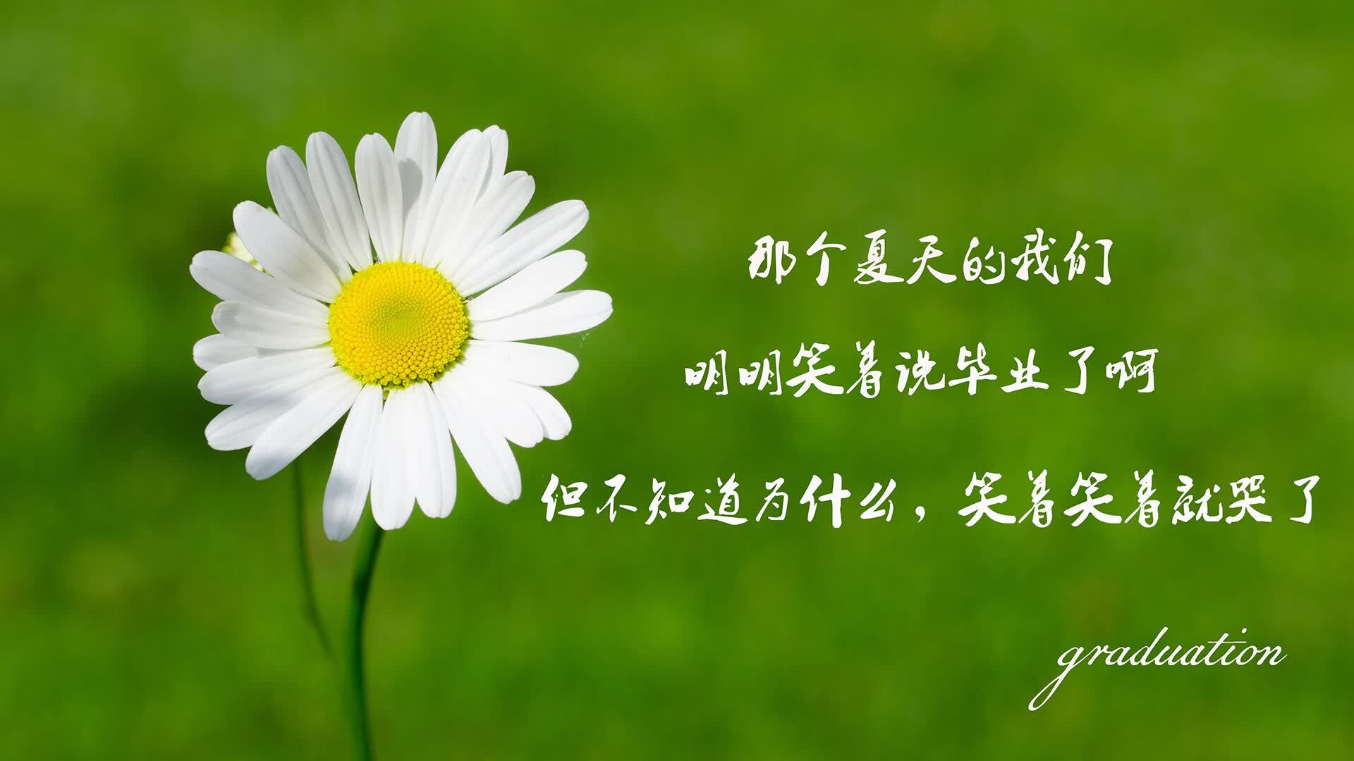 冷门与温情，2026世界杯E组，泰国险胜葡萄牙，库尔图瓦的孤独英雄主义