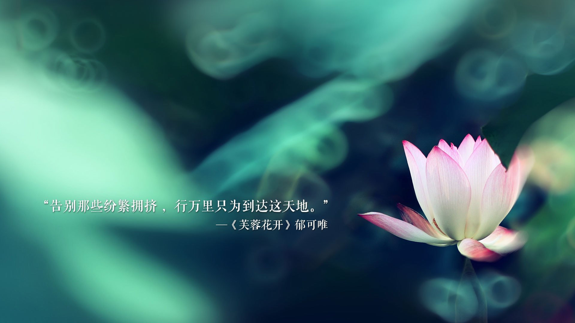 2026世界杯A组揭幕战，罗马尼亚碾压印度，德布劳内独造三球演绎孤胆英雄传奇